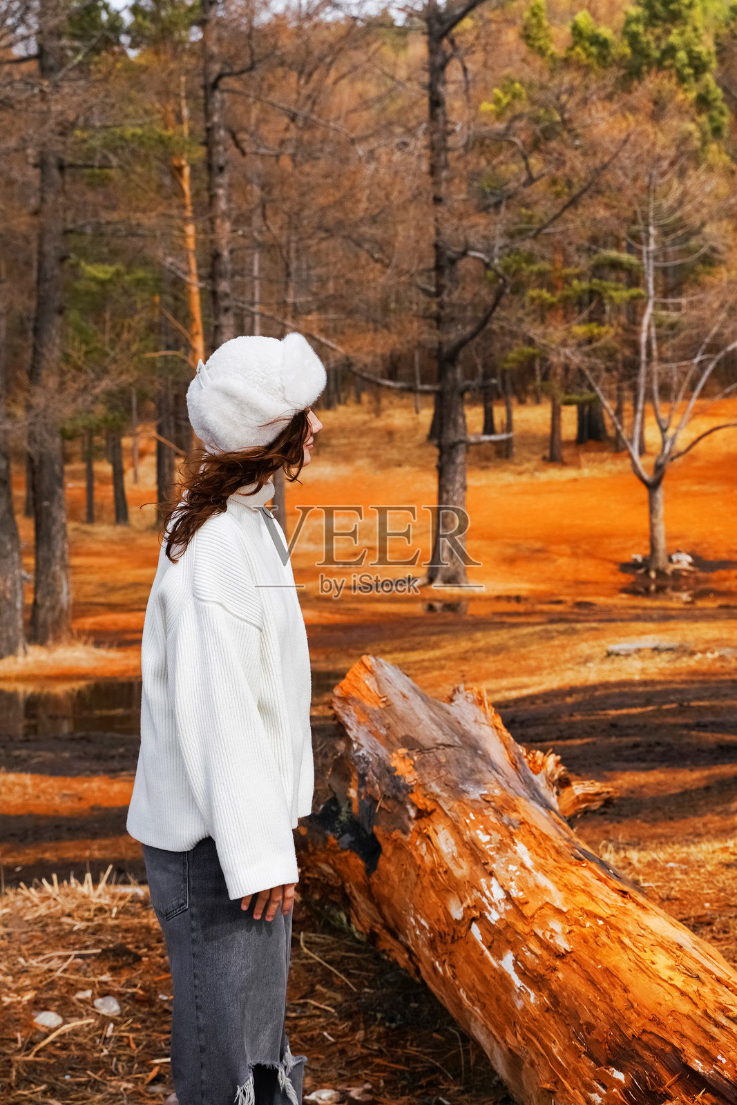 微笑的卷发女性穿着毛衣，坐在秋季公园中。户外肖像。美丽的女性享受大自然。生活方式。放松，自然概念。照片摄影图片