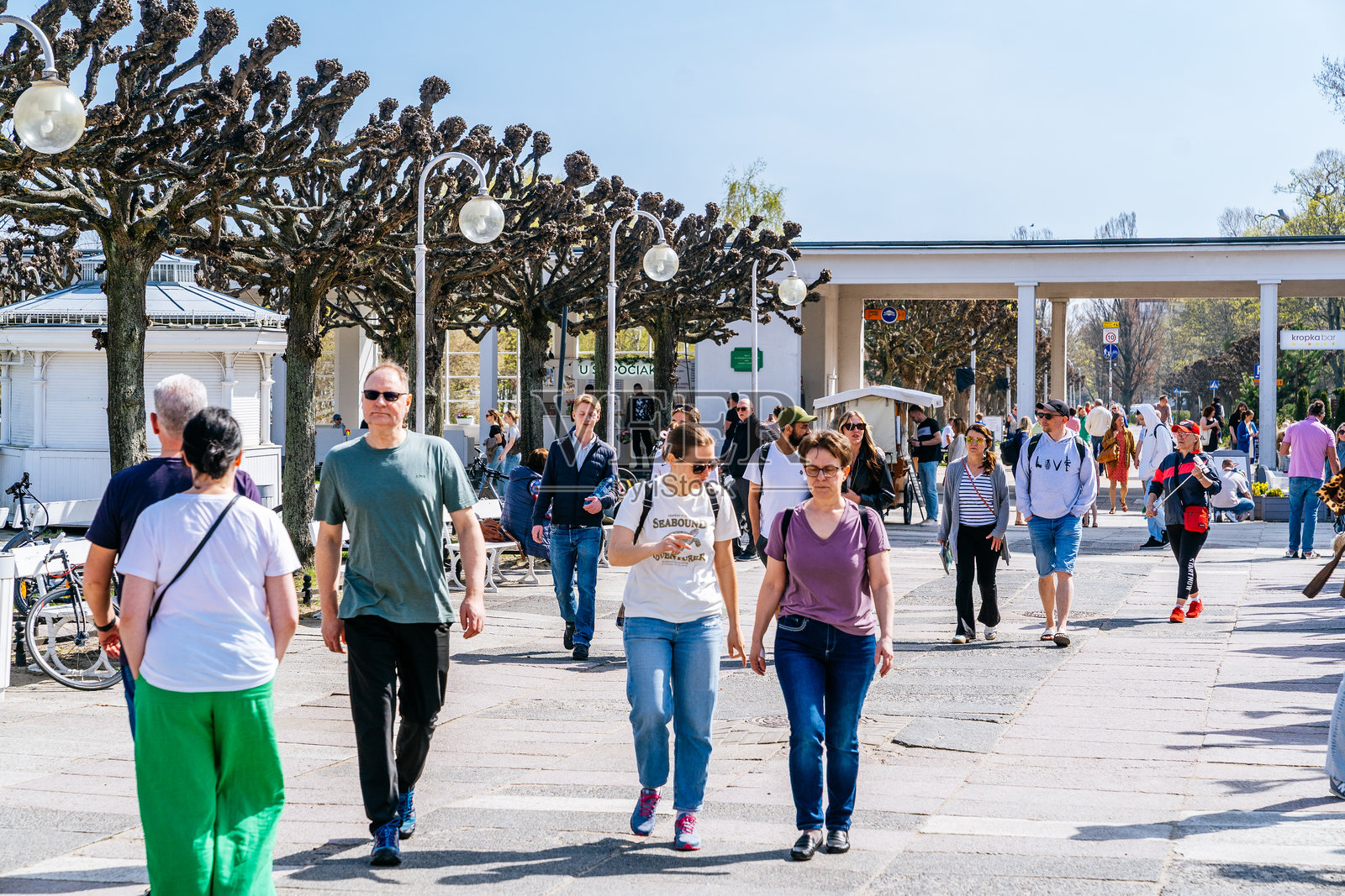 在阳光明媚的日子里，行人在人行道上走过修剪整齐的树木，背景是索波特码头附近的建筑。照片摄影图片