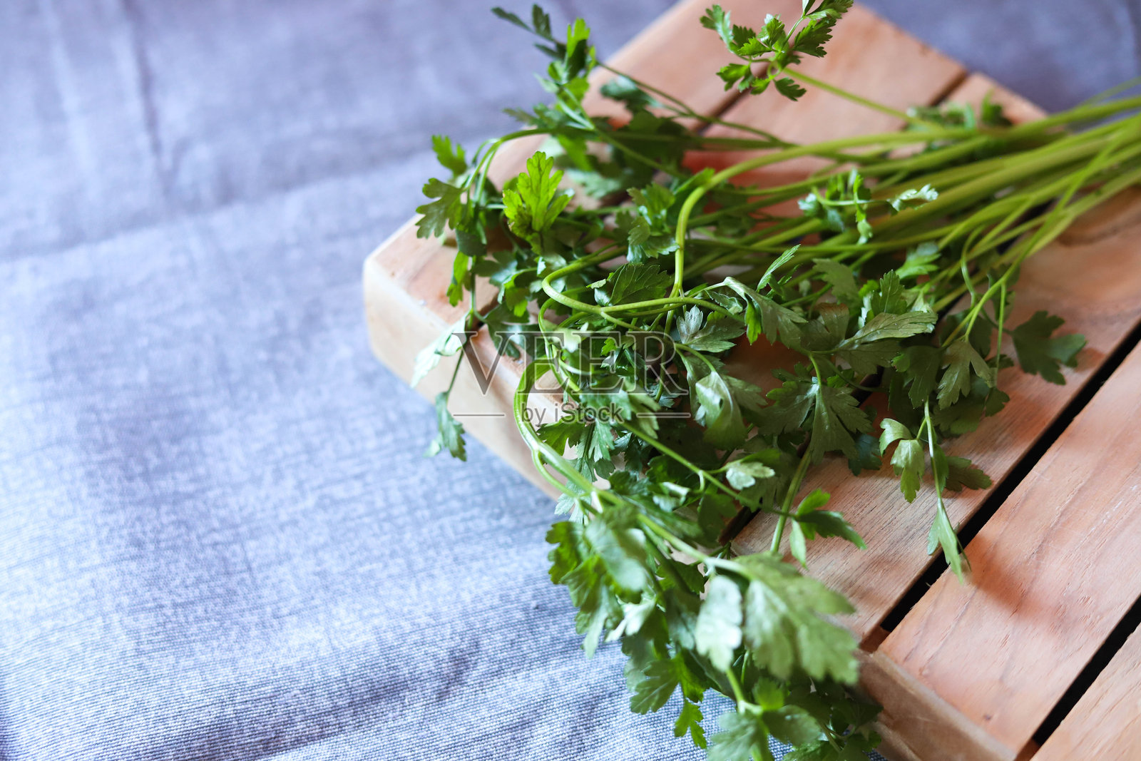新鲜的香 parsley 叶子特写照片摄影图片