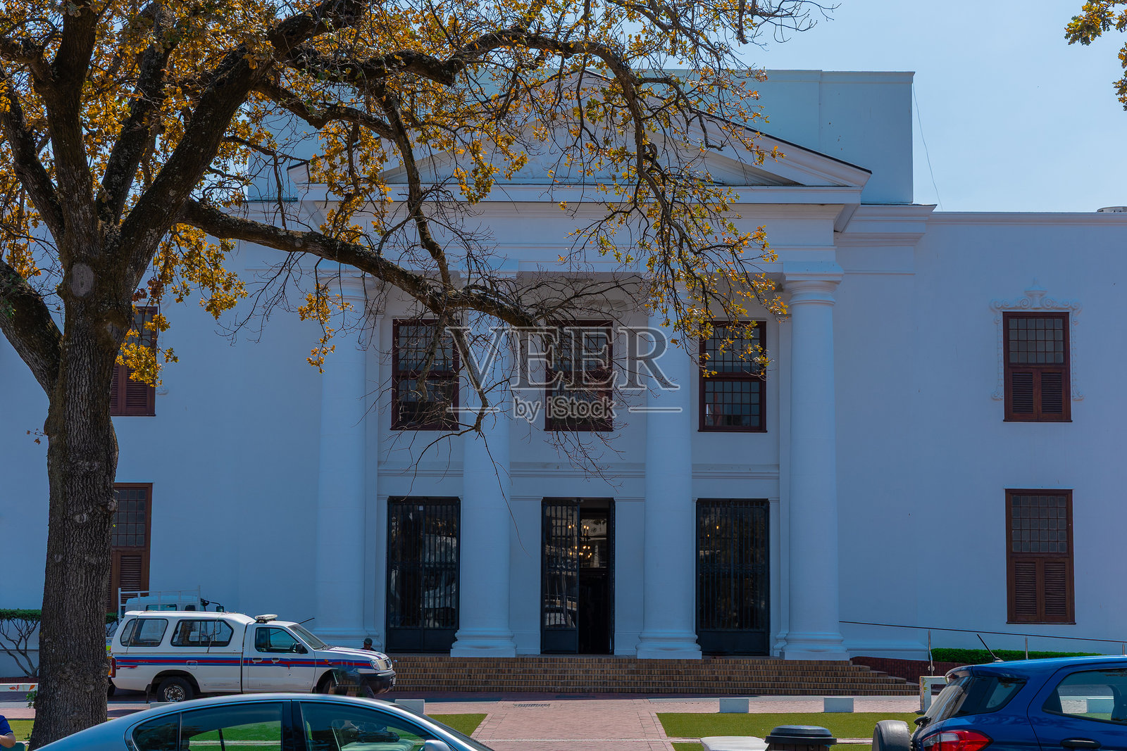 斯泰伦博斯市政厅在模糊中隐藏在公园里树上的绿叶后面。夏季场景，背景中美丽的白色市政厅，前面有一些汽车。照片摄影图片