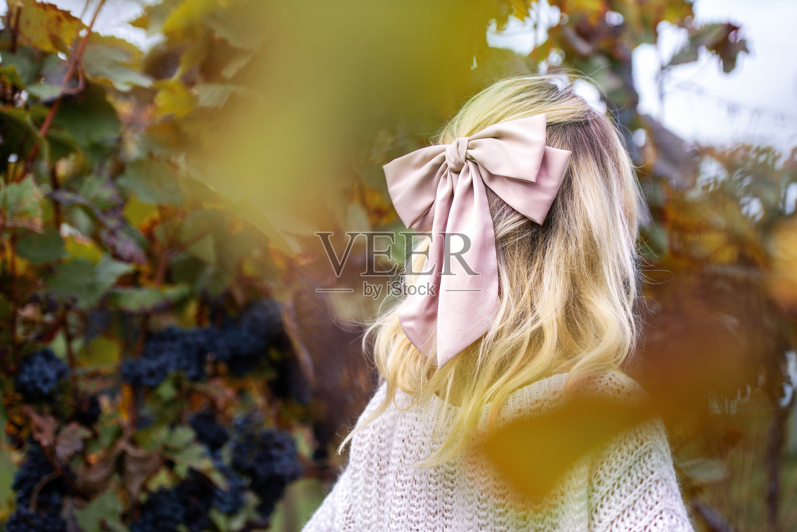 德国斯图加特秋季葡萄园中一位金发女性的背影照片摄影图片