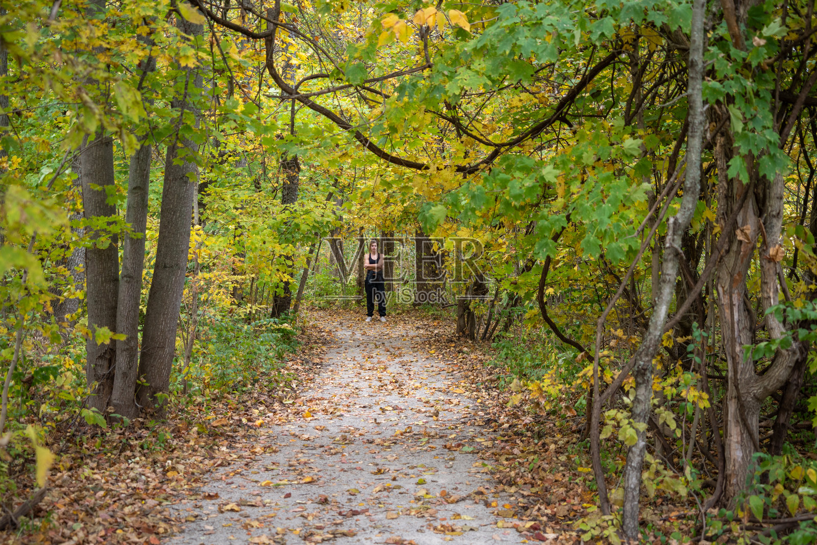 霍普韦尔文化国家历史公园的远足小径照片摄影图片