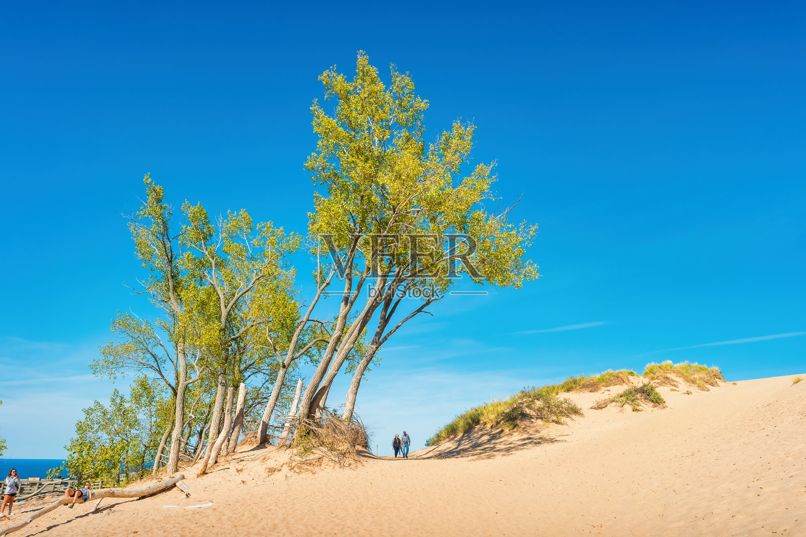 密歇根州睡熊沙丘,美国照片摄影图片