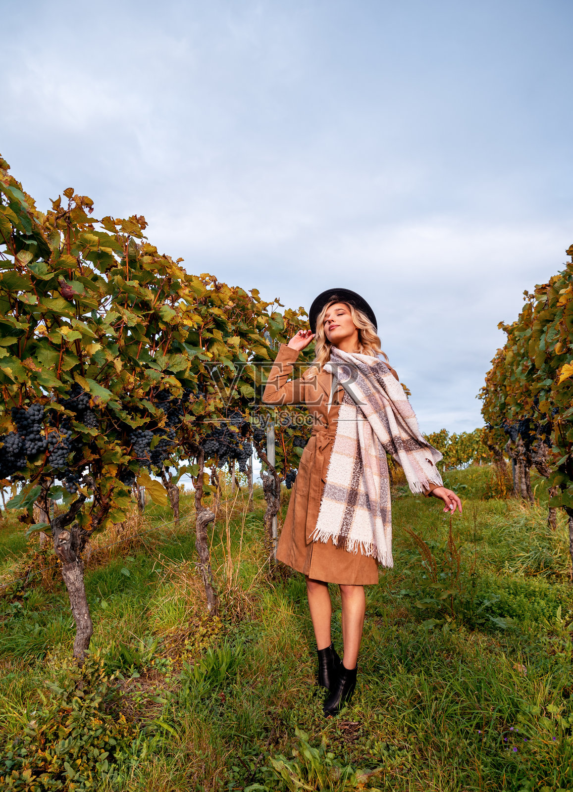 身穿优雅服装的女性在德国斯图加特的秋季葡萄园中放松。照片摄影图片