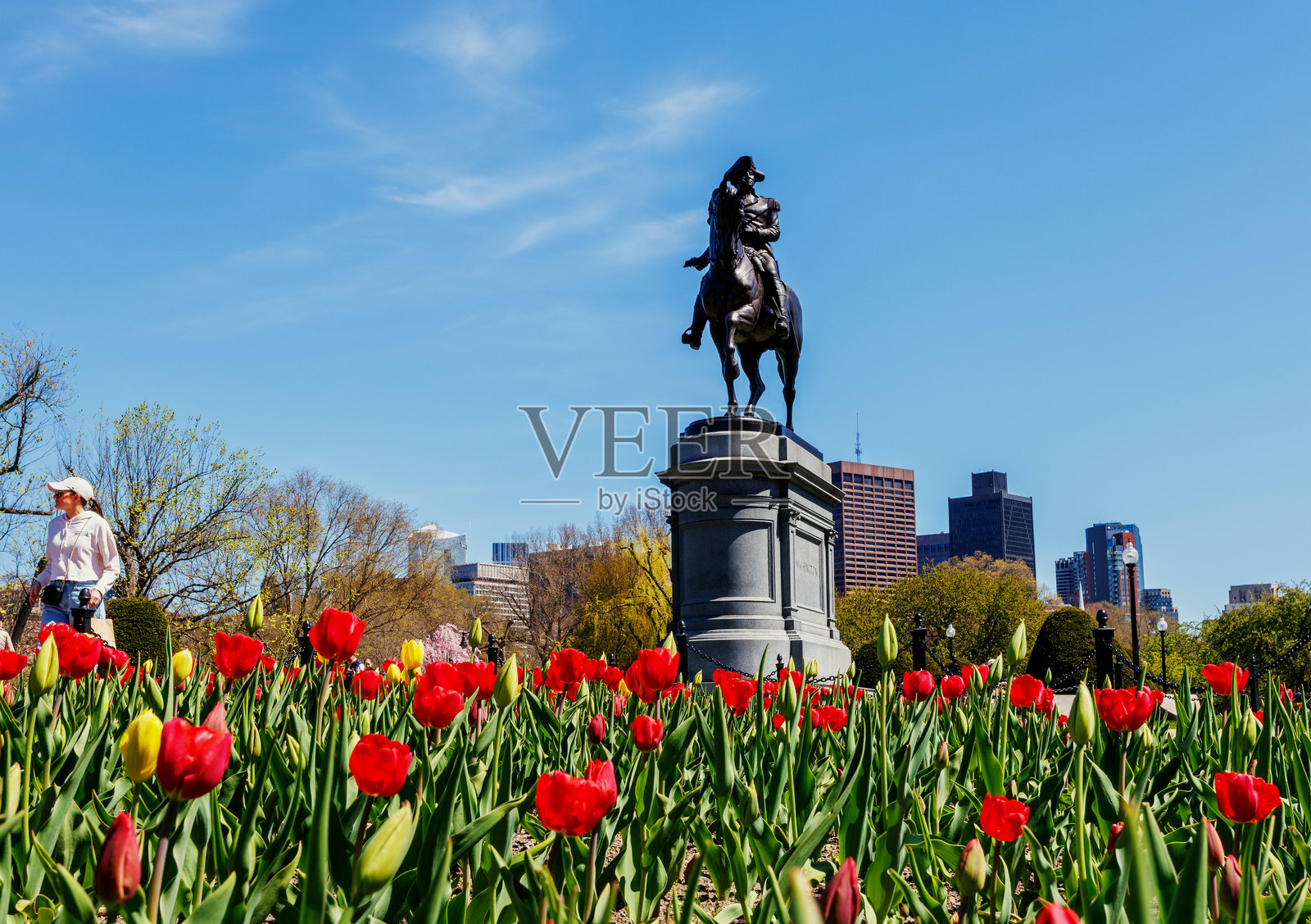 乔治·华盛顿雕像 - 春季 - 波士顿公共花园 - 后湾 - 马萨诸塞州波士顿照片摄影图片