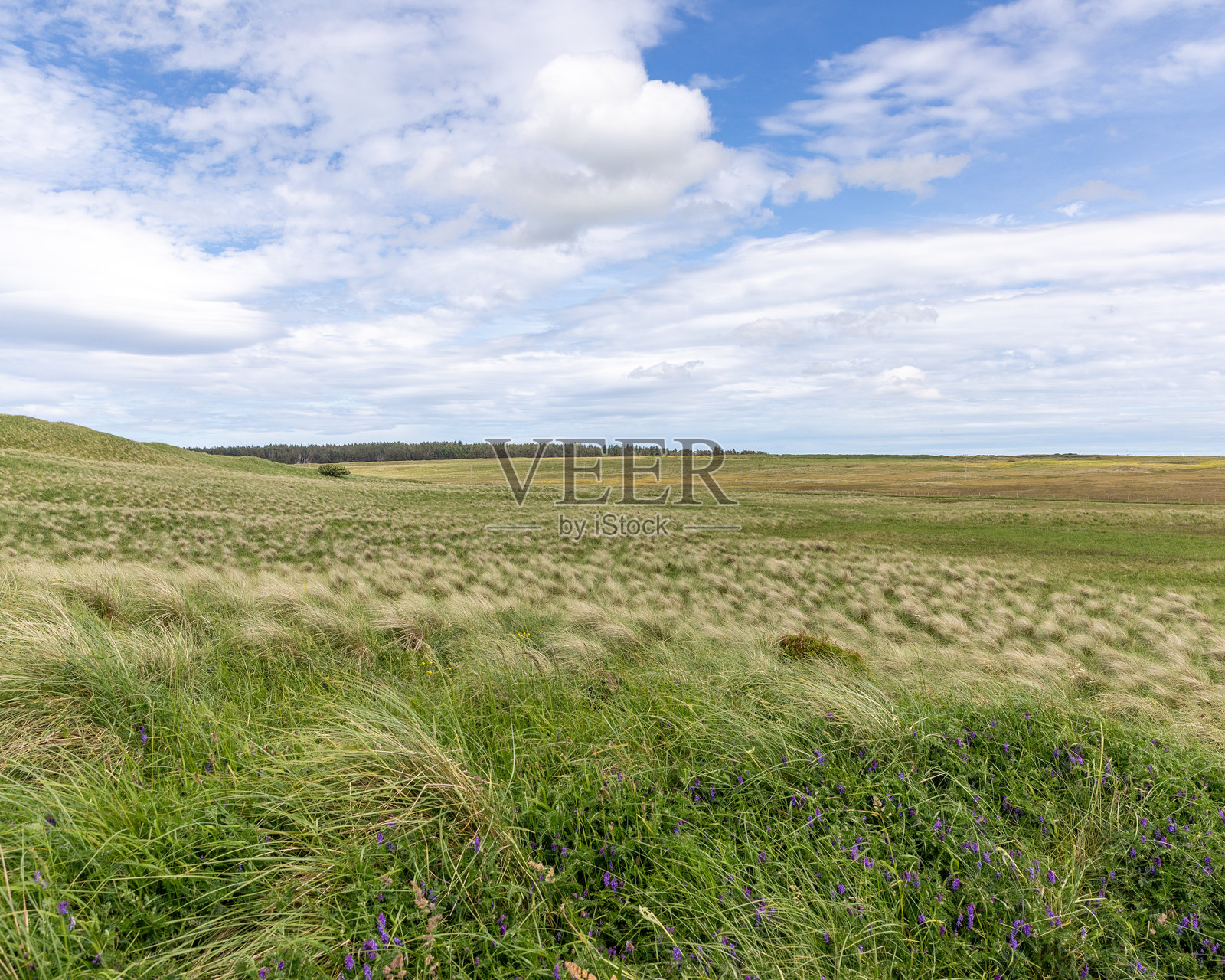 绿色的田野和蓝天上的白云照片摄影图片