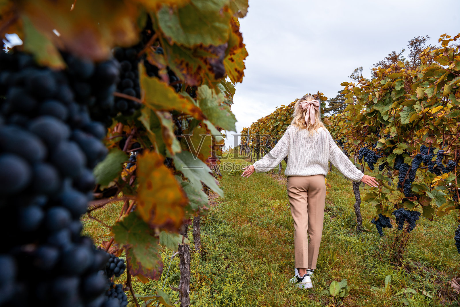 一位Z世代女性在德国斯图加特的秋季葡萄园中享受大自然照片摄影图片