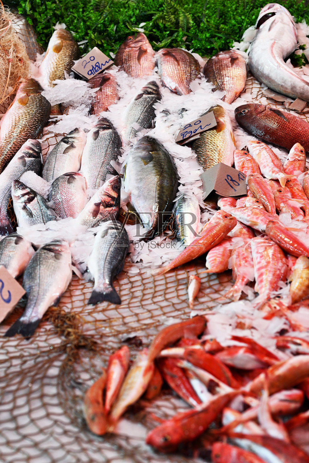 海鲜摊位，提供各种新鲜海产品照片摄影图片