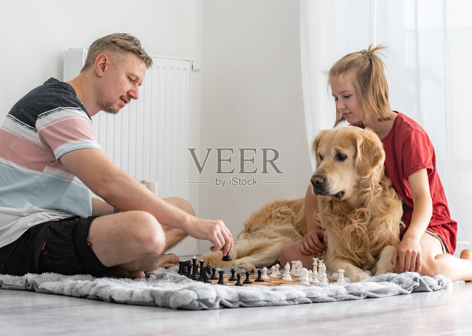 快乐的小女孩和父亲在下棋，同时抚摸可爱的狗狗照片摄影图片