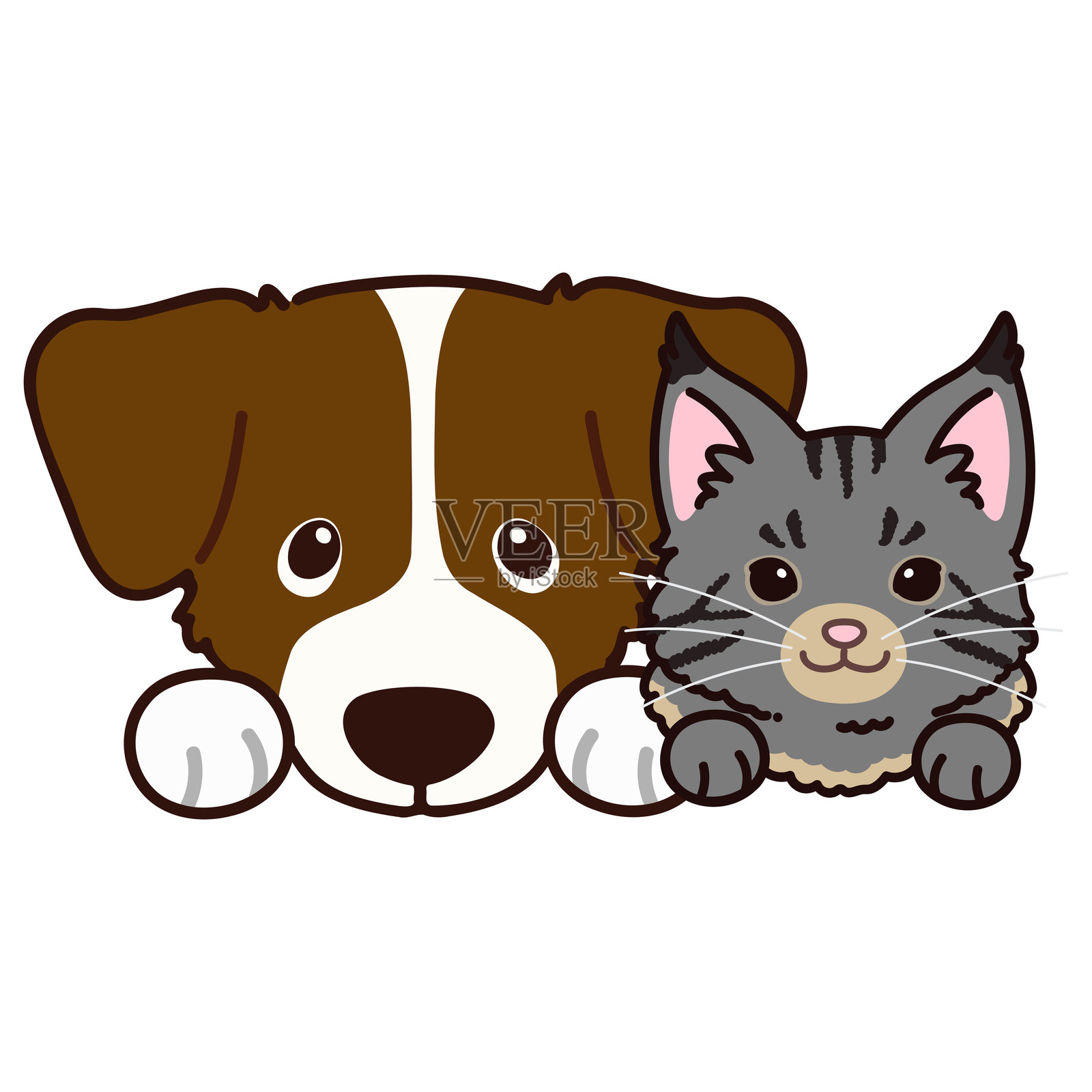 简单可爱的杰克拉塞尔梗和缅因猫插图插画图片素材