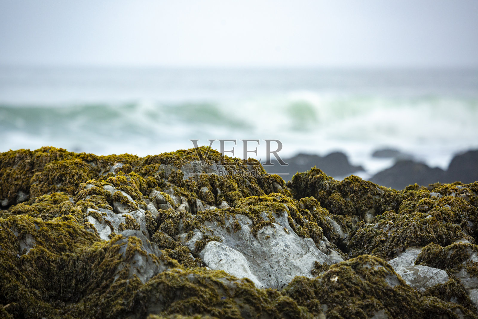 海景与拍打的波浪照片摄影图片