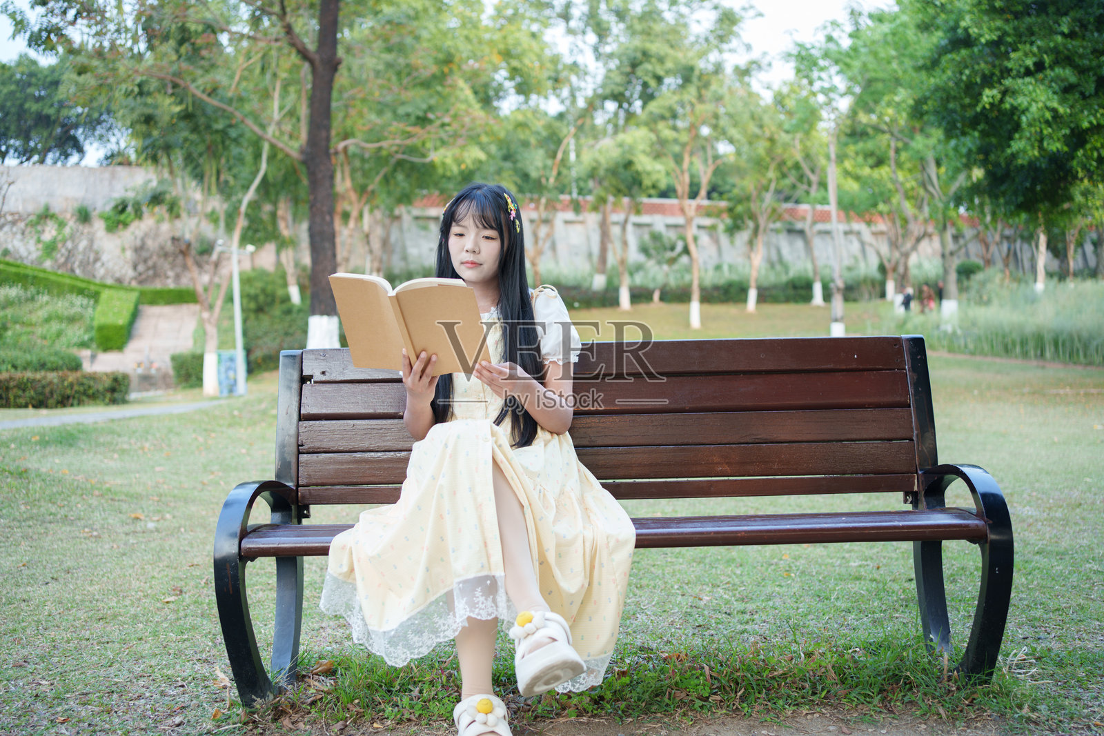 年轻女性坐在公园长椅上阅读一本书照片摄影图片