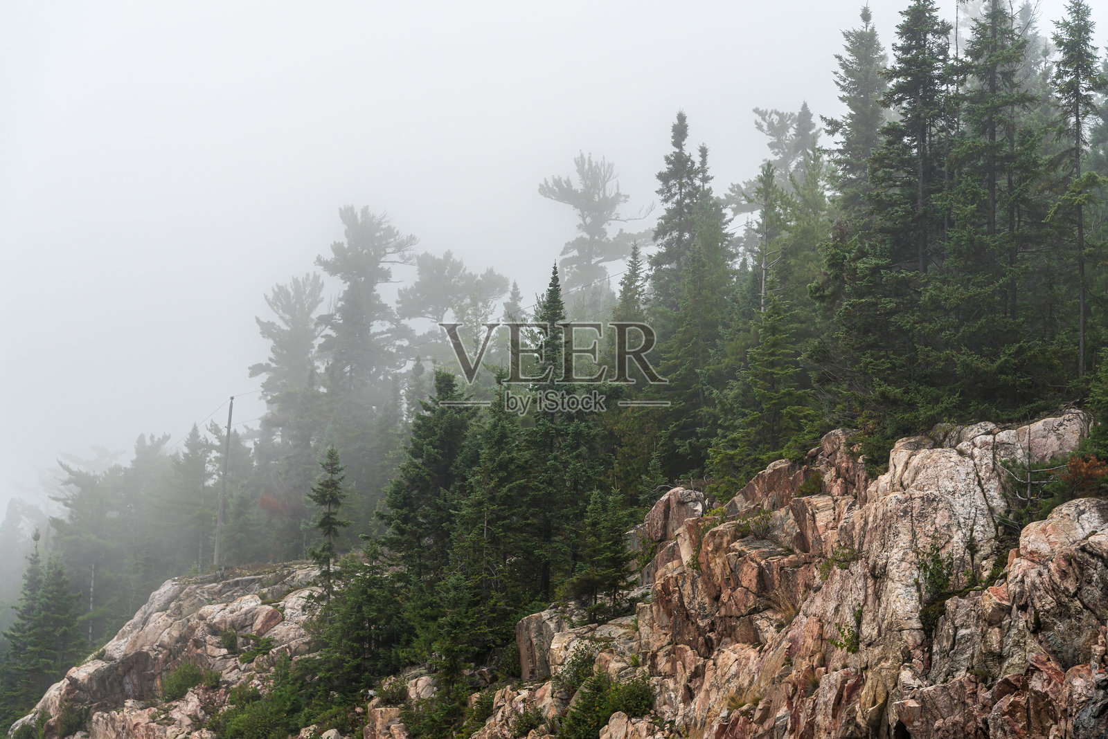 浓雾。照片摄影图片