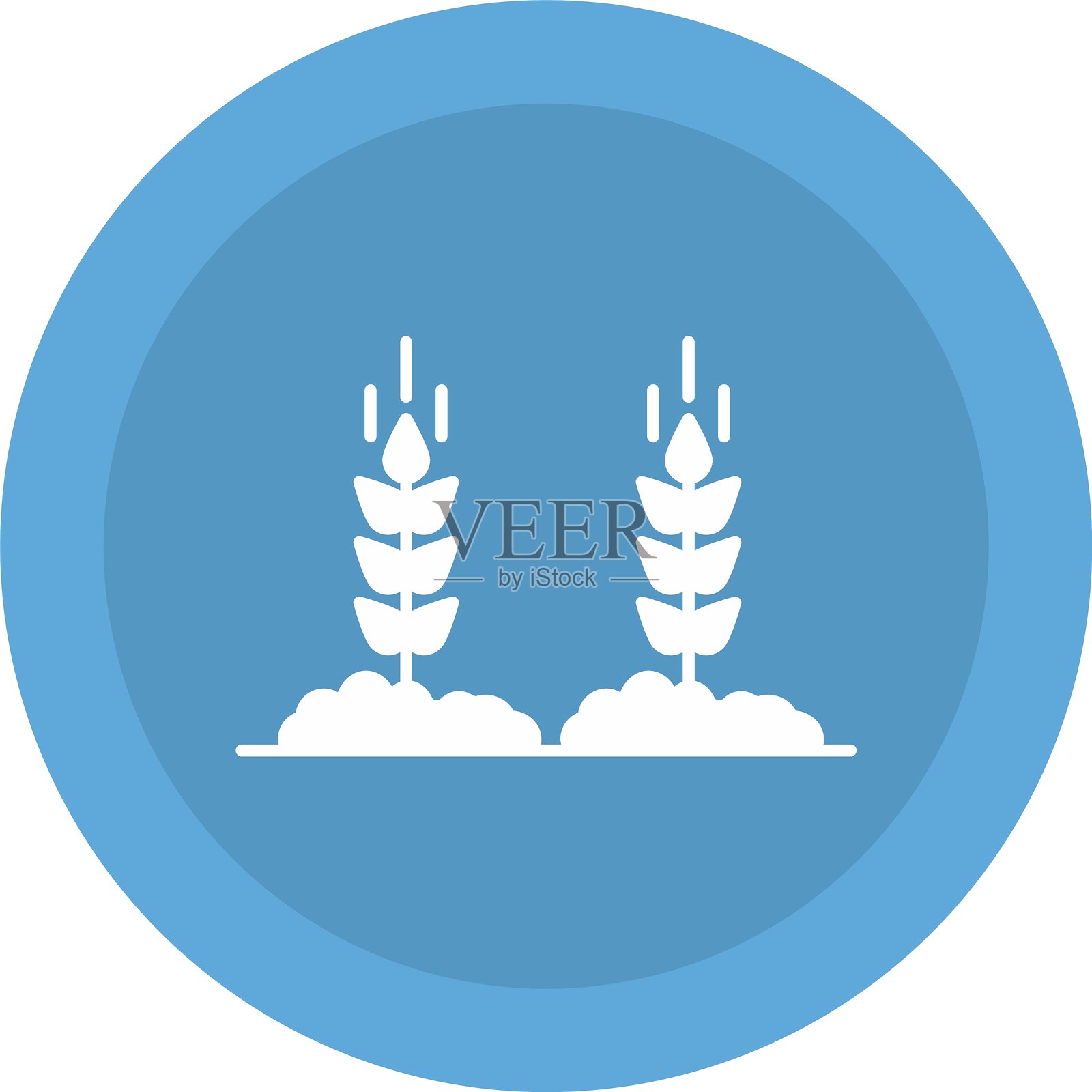 小麦图标插画图片素材