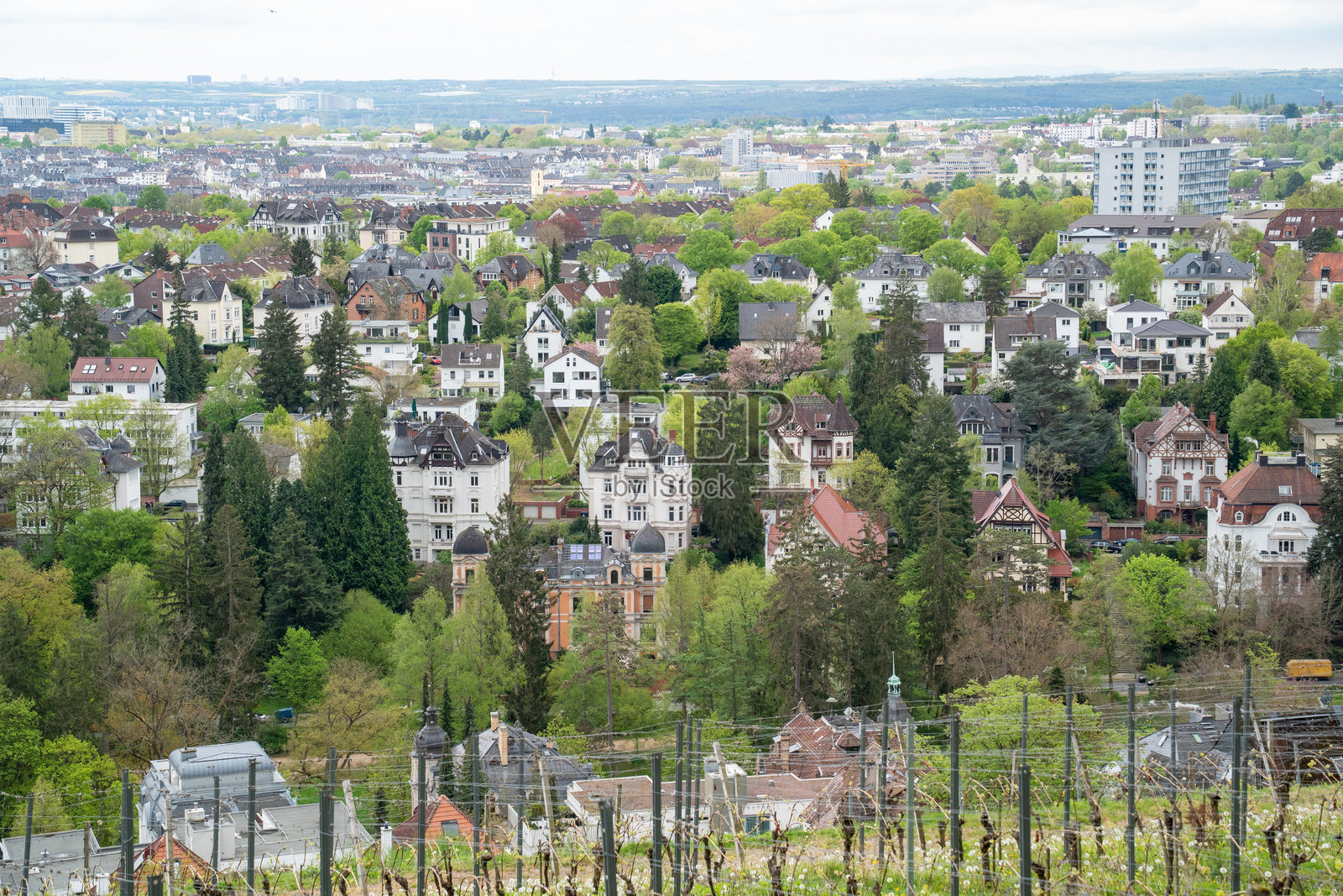 德国威斯巴登的城市景观，拥有许多房屋和树木照片摄影图片