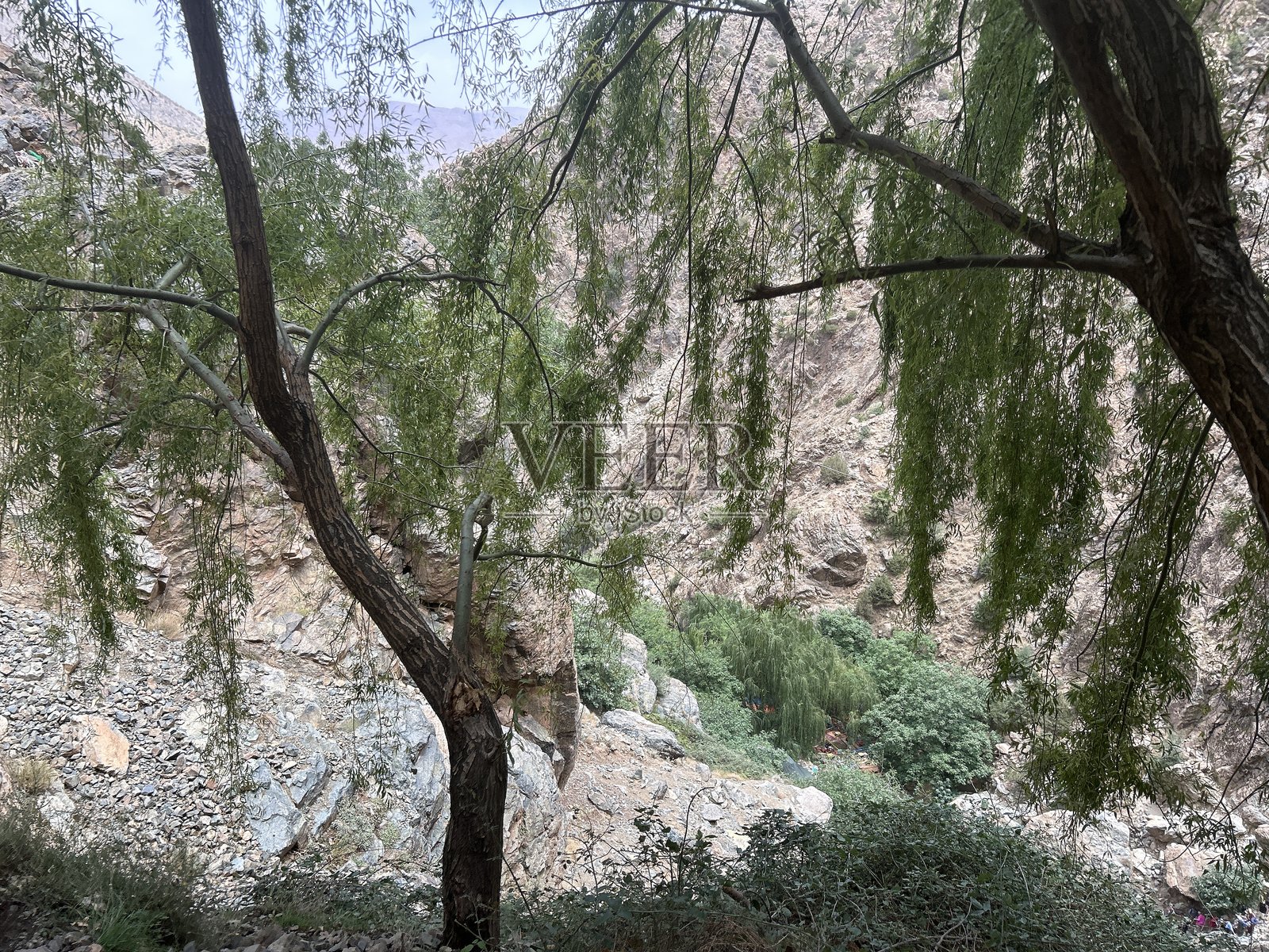 乌里卡谷照片摄影图片