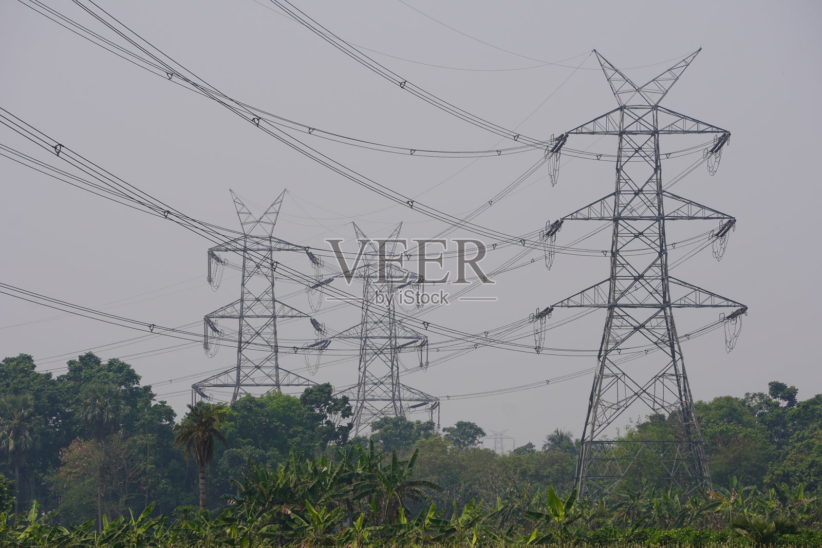 高压电线在植物上方形成了一张网，与电力塔相连。照片摄影图片