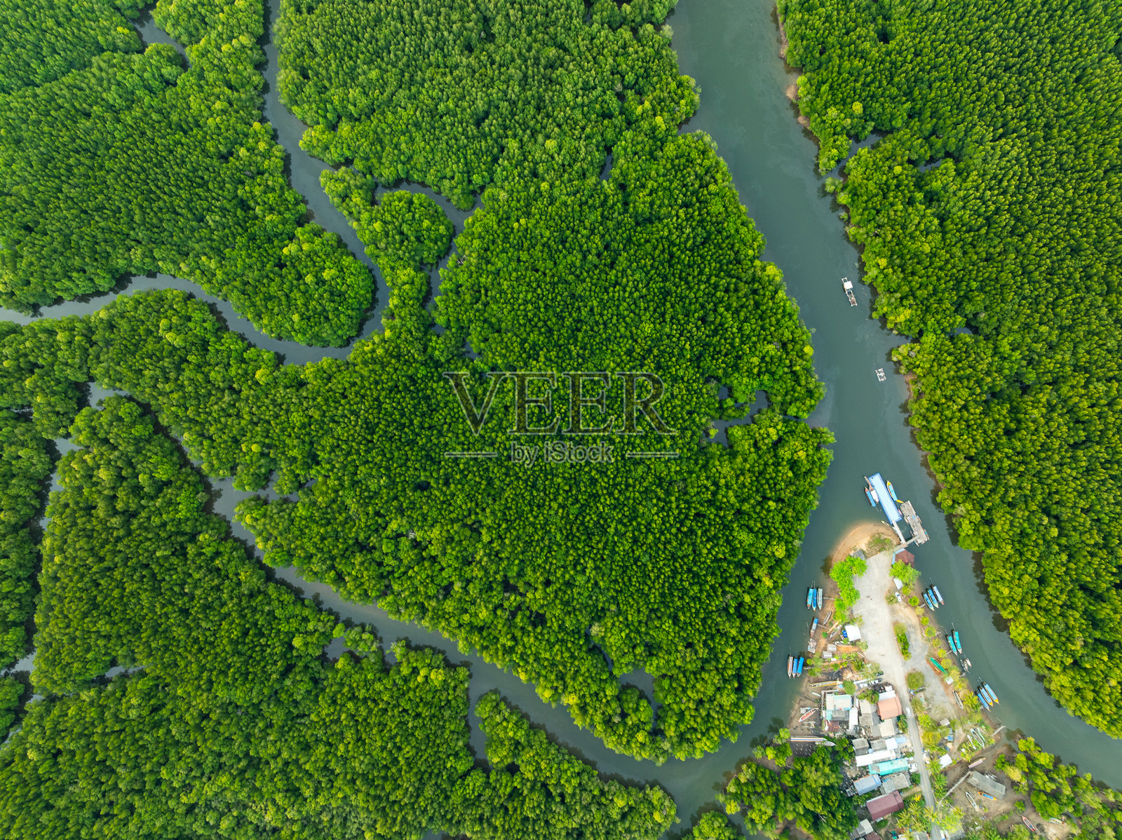 惊人的丰盛红树林，森林树木的鸟瞰图，雨林生态系统和健康环境背景，绿色树木森林的纹理，从高处俯瞰。照片摄影图片