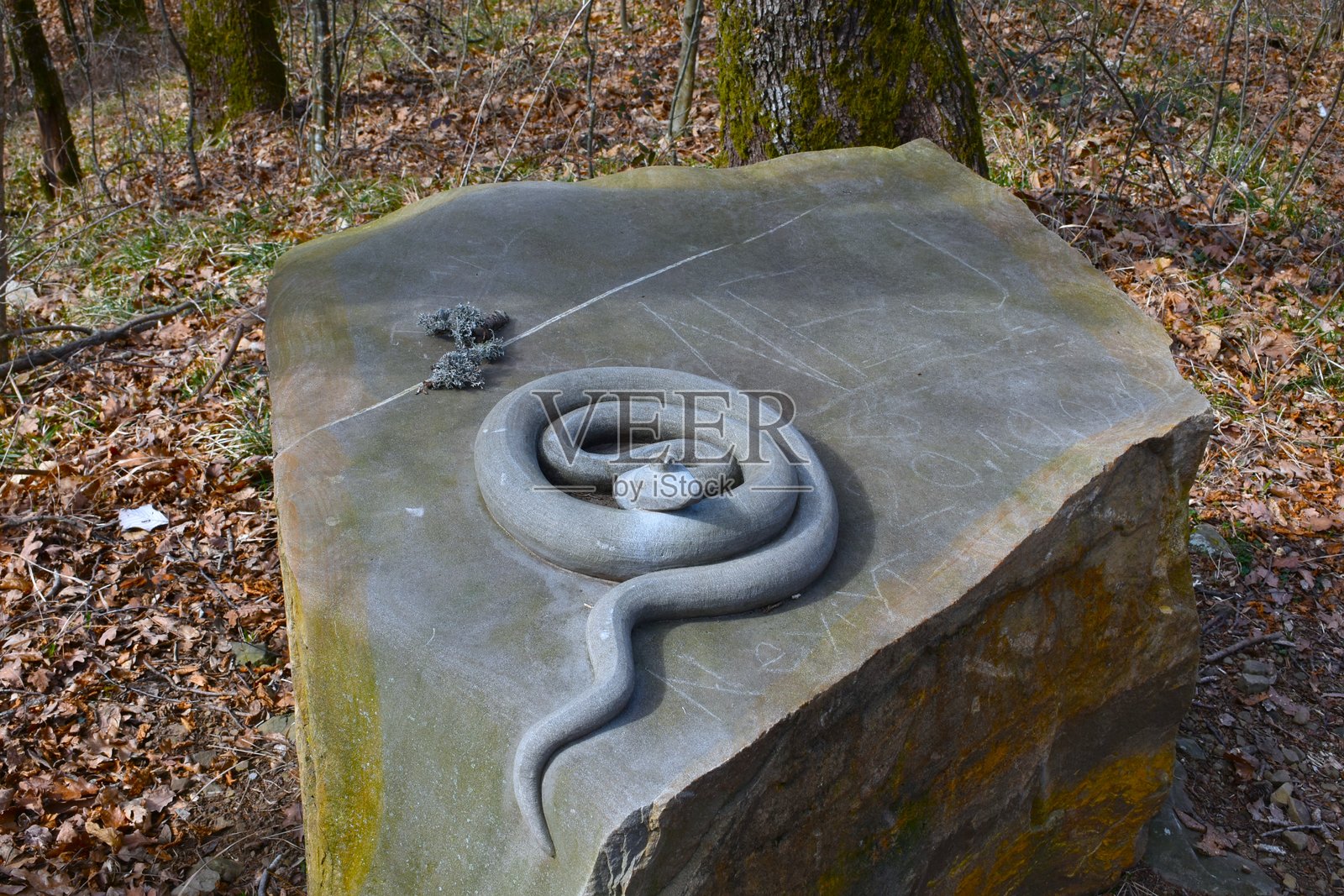 大型石块上的蛇王石雕照片摄影图片