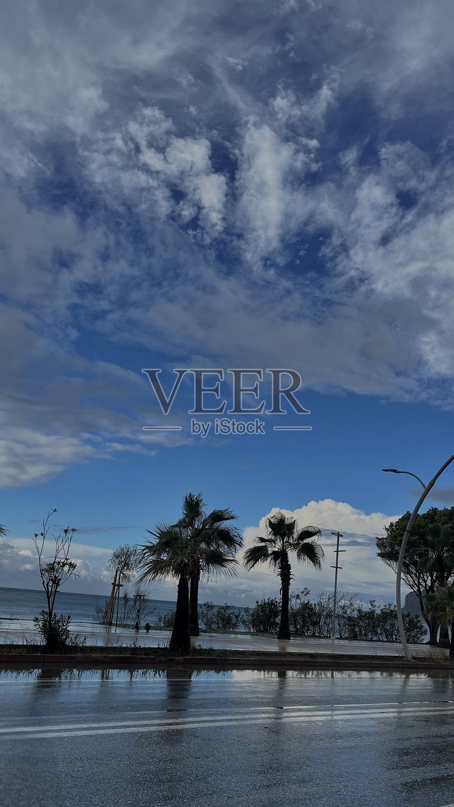 雨后海边的棕榈树与戏剧性的天空照片摄影图片