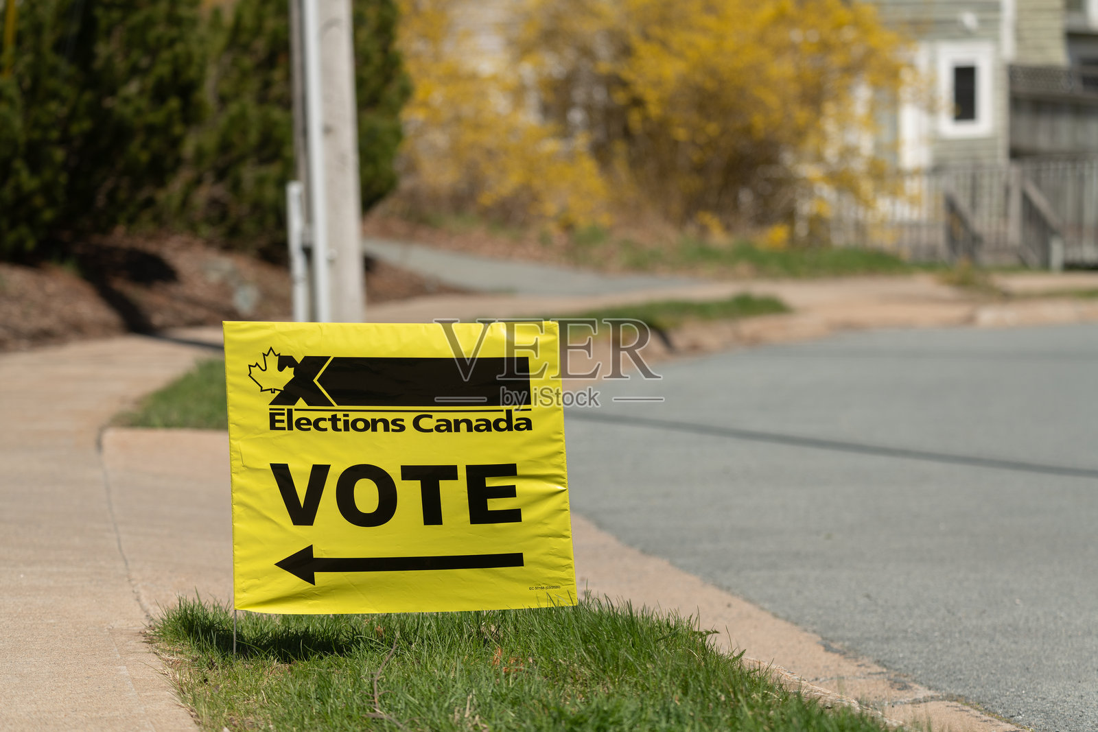 加拿大选举投票站照片摄影图片
