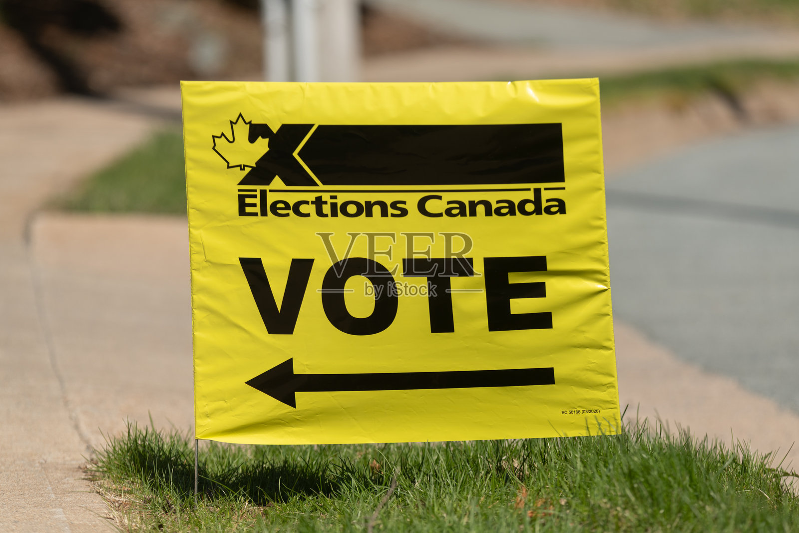 加拿大选举投票站照片摄影图片