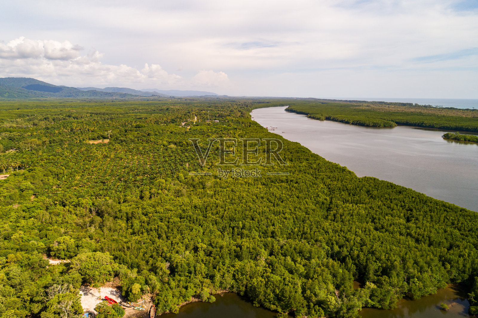 惊人的丰盛红树林，森林树木的鸟瞰图，雨林生态系统和健康环境背景，绿色树木森林的纹理，从高处俯瞰。照片摄影图片