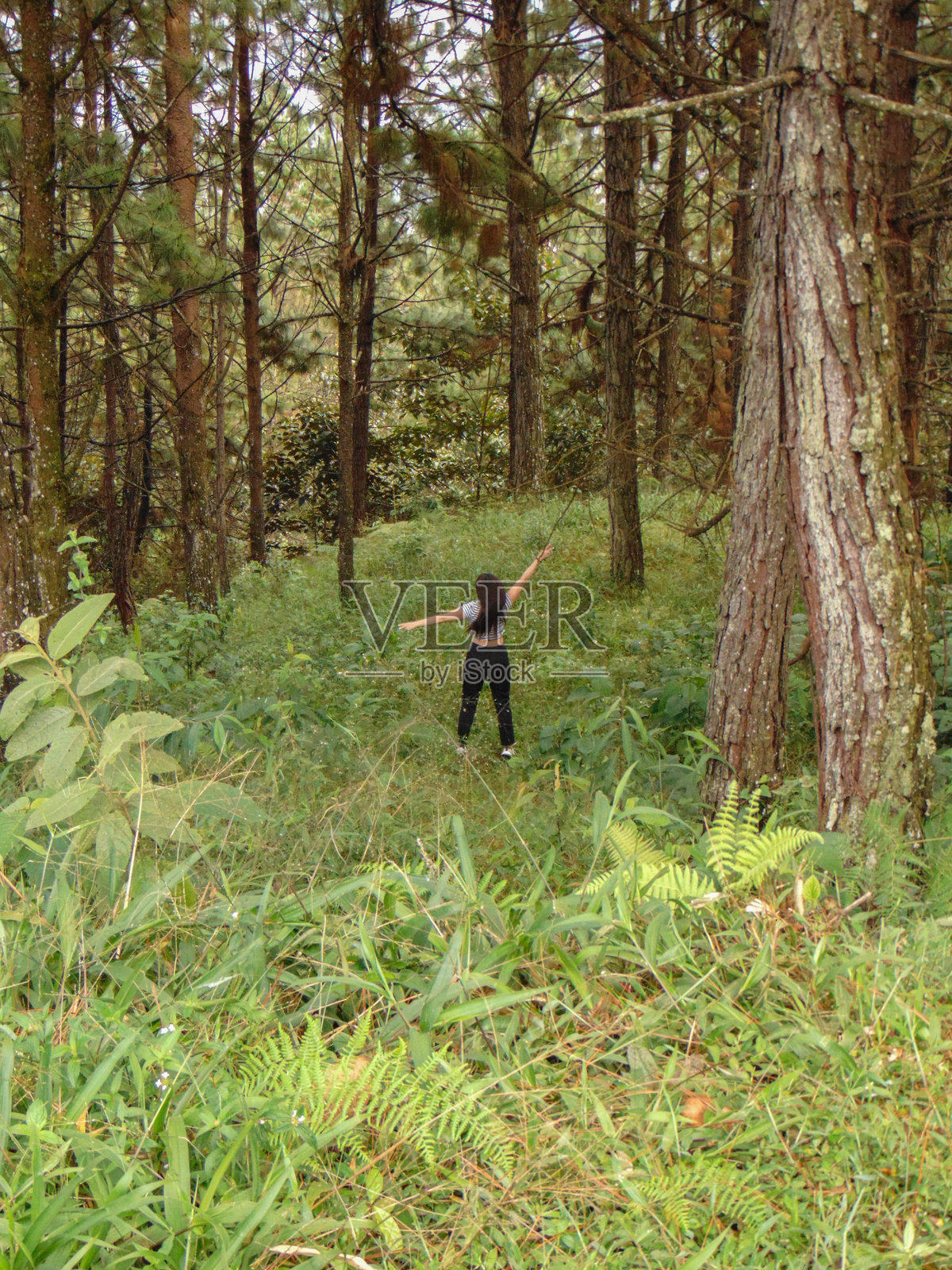 在树林中散步照片摄影图片