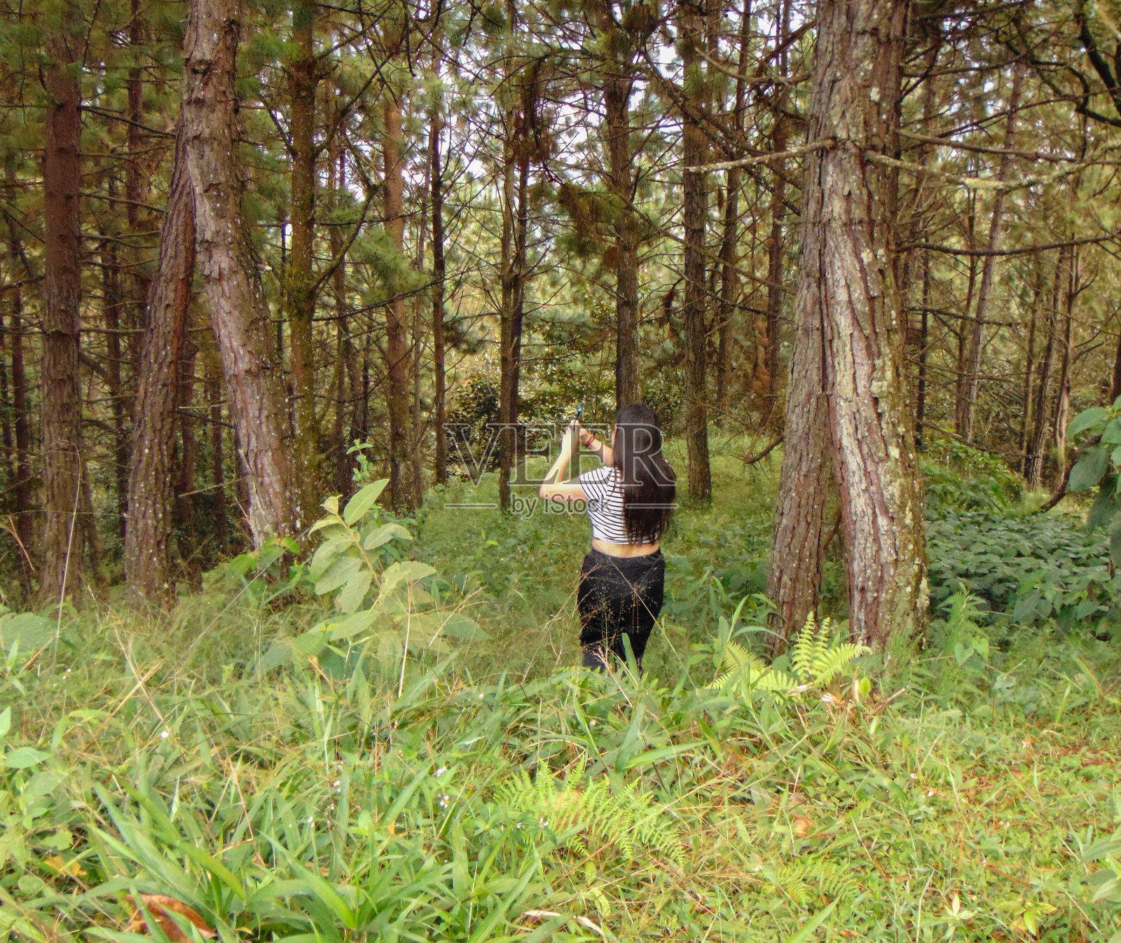 在森林中散步照片摄影图片