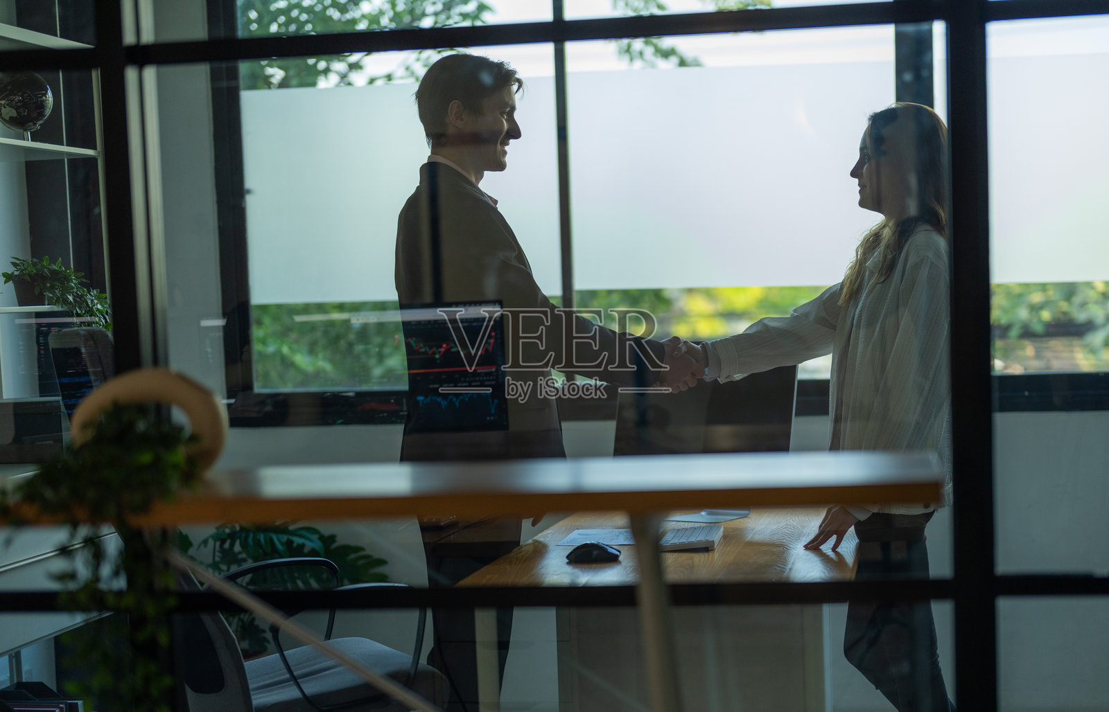 商务专业人士在阳光明媚的下午于办公室内握手，周围绿树成荫。照片摄影图片