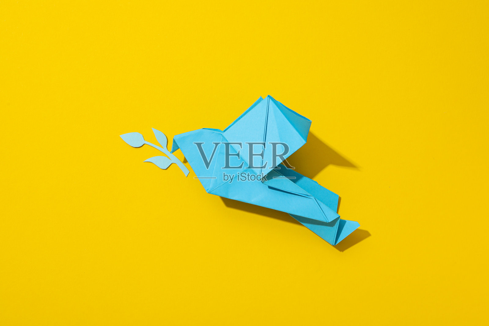 国际和平日或世界和平日，和平的象征 - 鸽子照片摄影图片