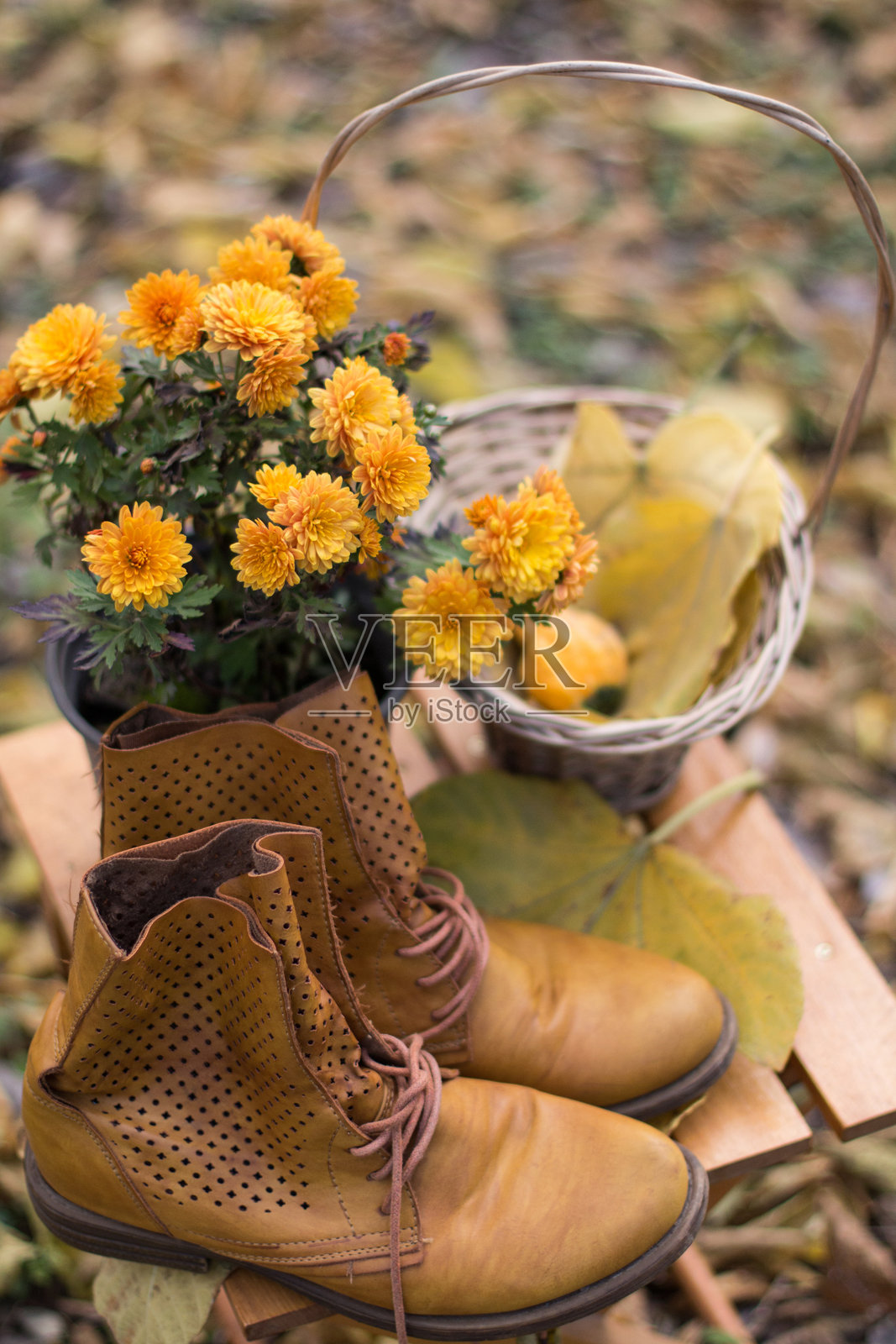 简单的秋季组合，包括各种物品，靴子、花朵、篮子放在森林中的木椅上。照片摄影图片