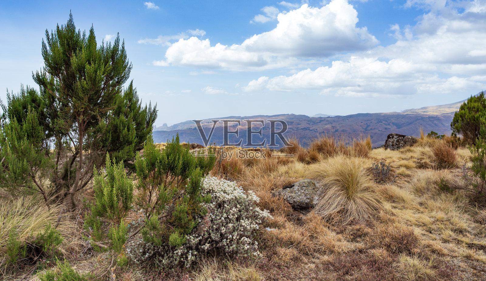 埃塞俄比亚的塞米恩山脉或西门山脉，非洲照片摄影图片