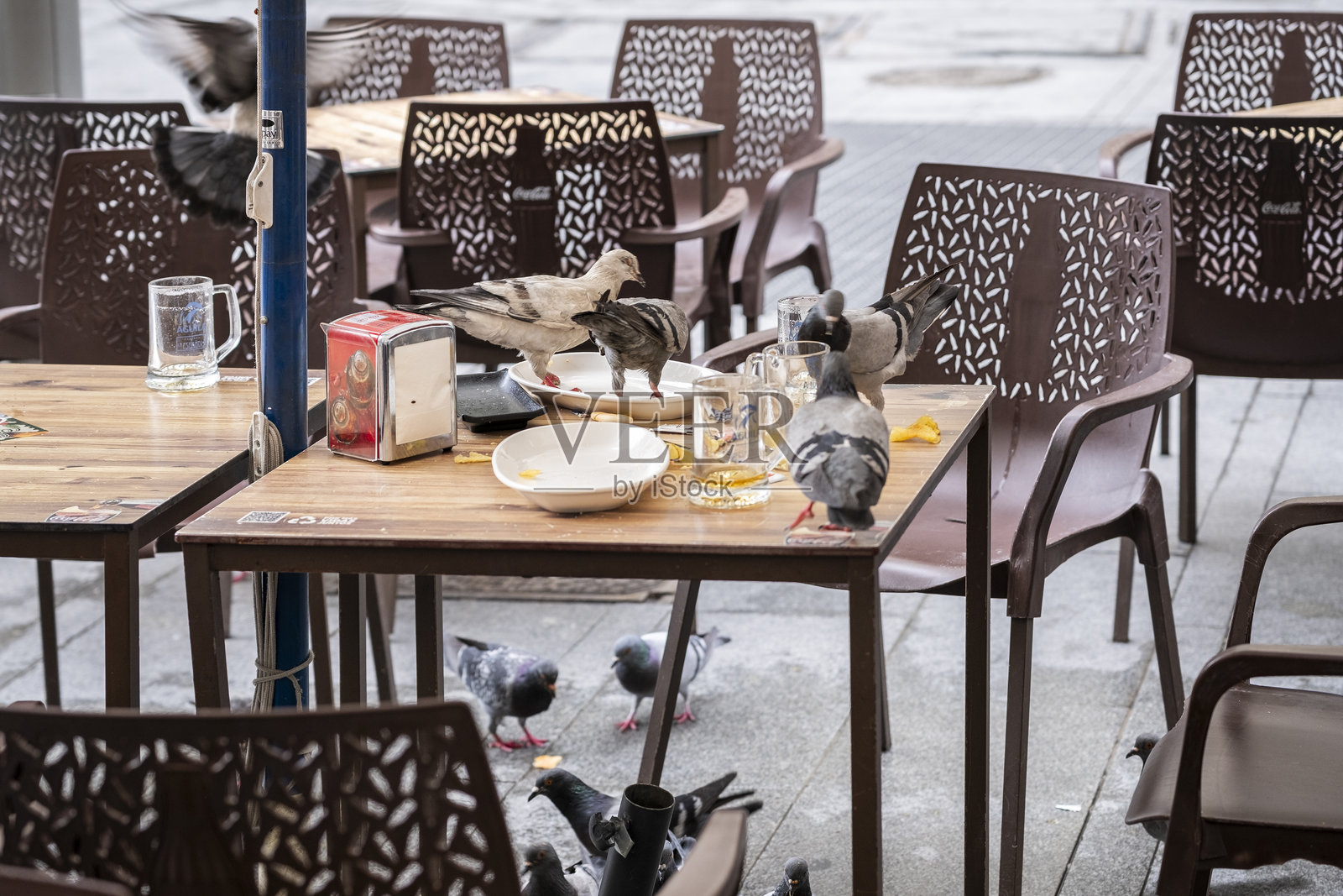 鸽子在酒吧餐厅的露台桌上吃顾客留下的剩饭。照片摄影图片