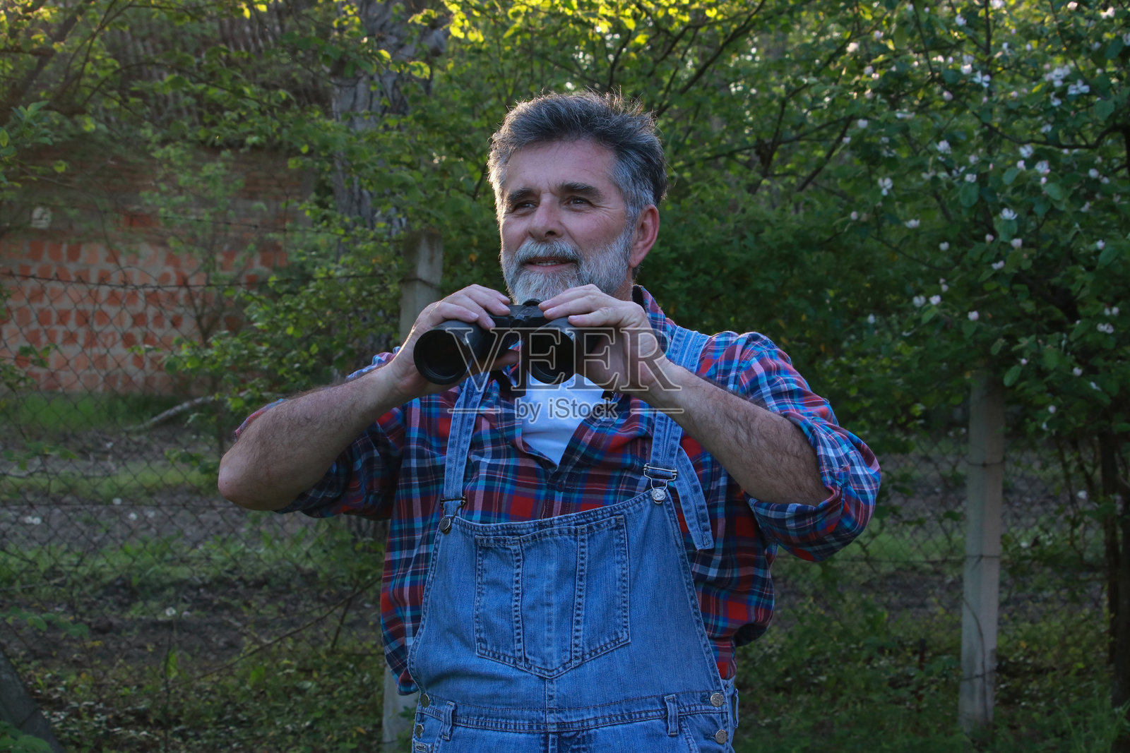 银发老人在大自然中观察鸟类照片摄影图片