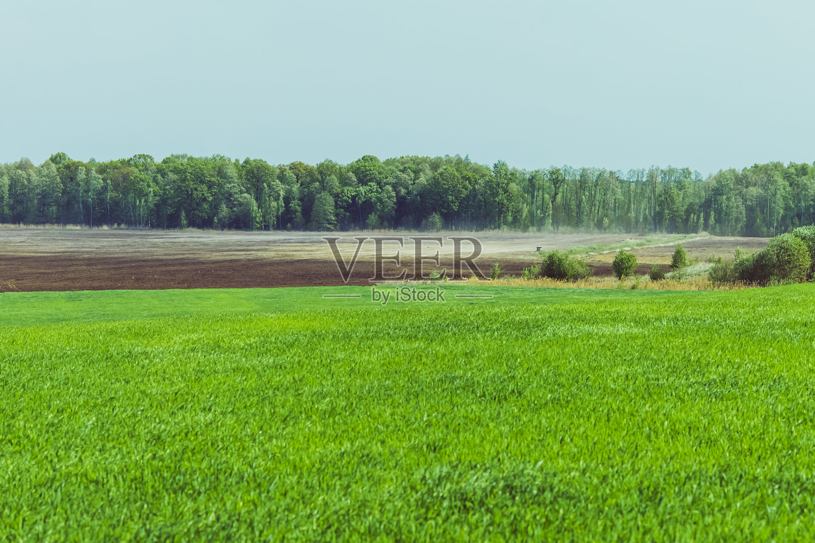 田野上的沙尘暴照片摄影图片