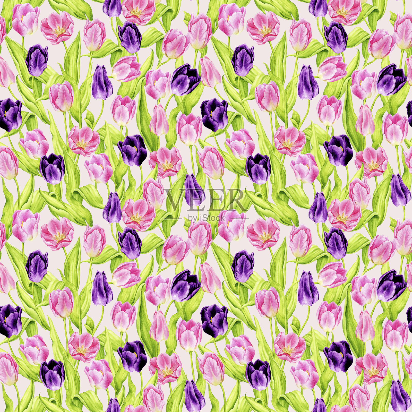 米色背景上的春季花卉无缝图案。精致的水彩郁金香。春天、母亲节、复活节、国际妇女节、生日。明信片、海报、包装纸、壁纸的背景。插画图片素材