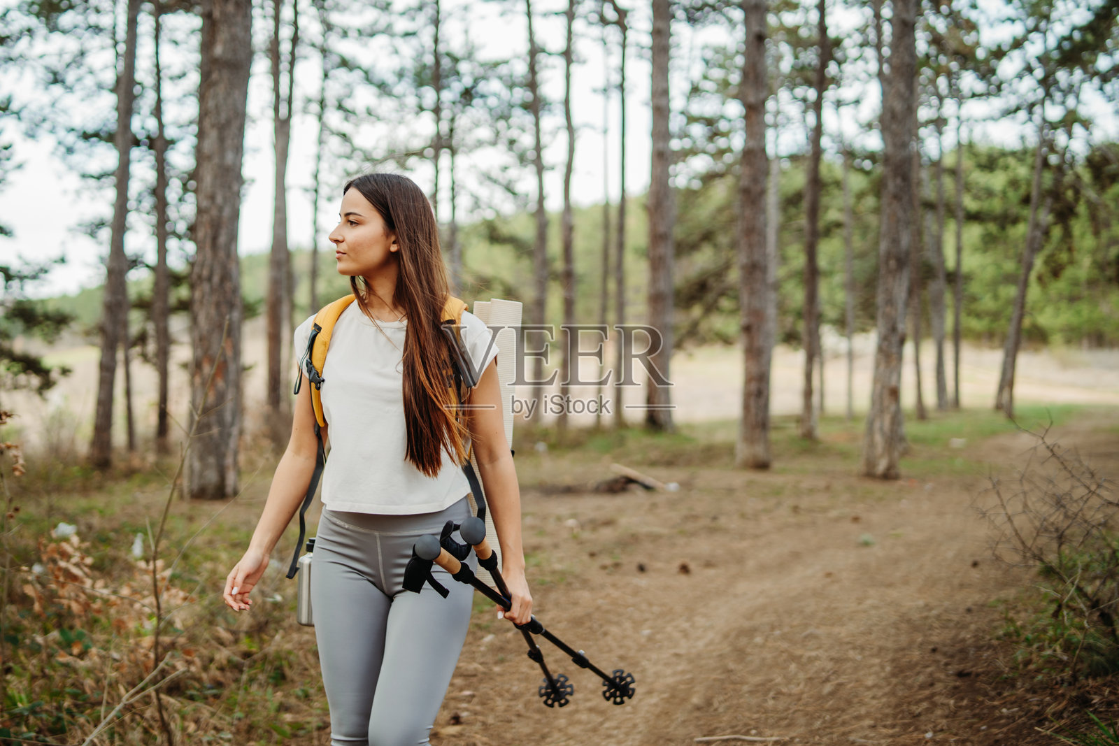 年轻女性在风景如画的森林中徒步旅行，手持登山杖。照片摄影图片
