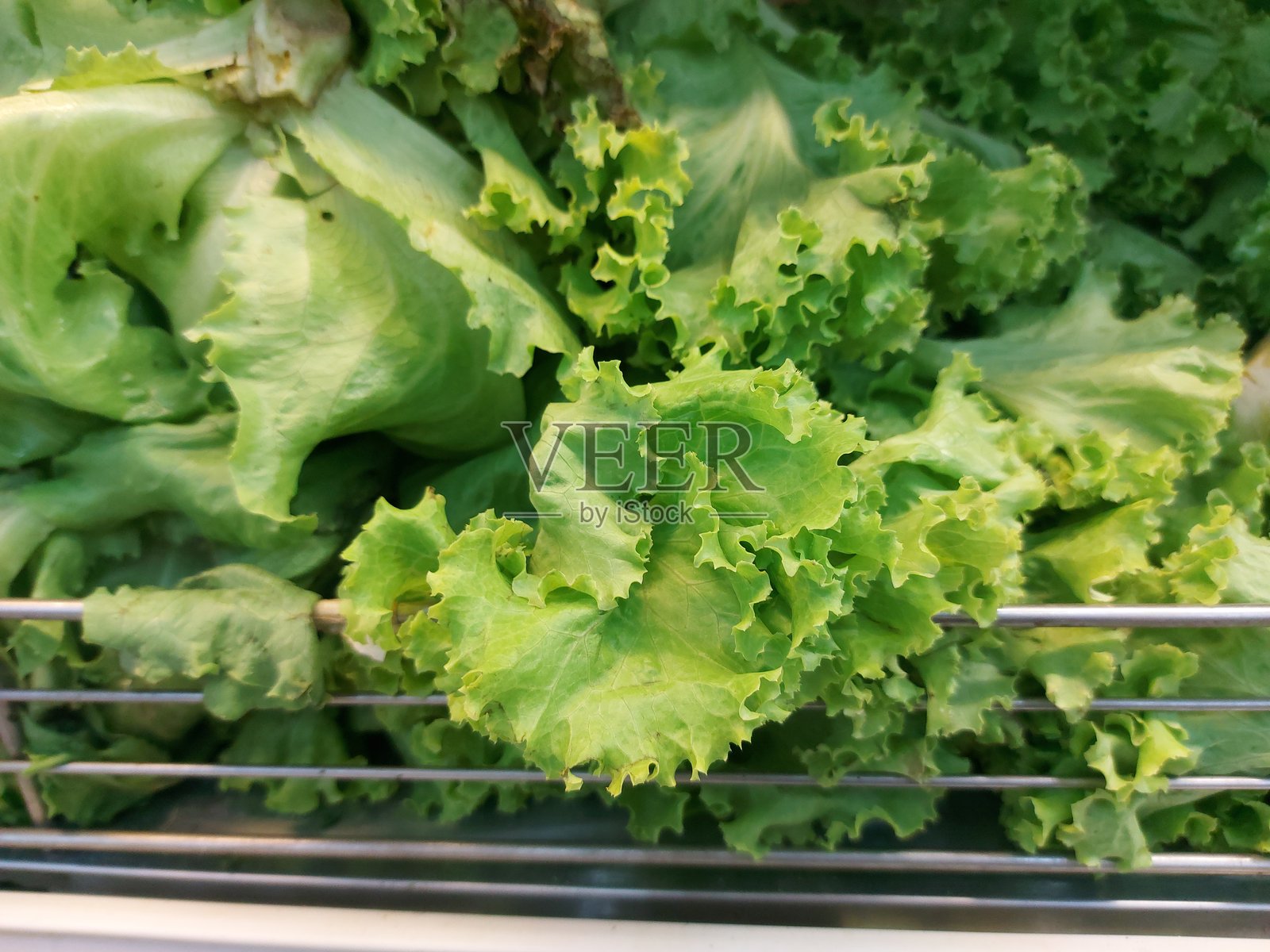 超市货架上的生菜照片摄影图片