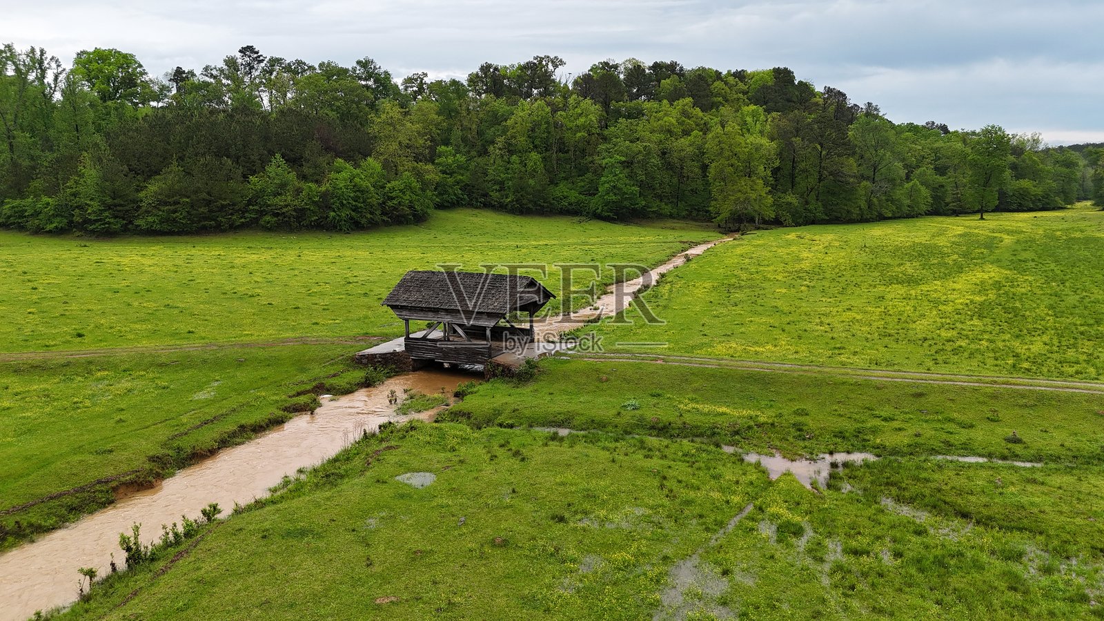自然之美照片摄影图片