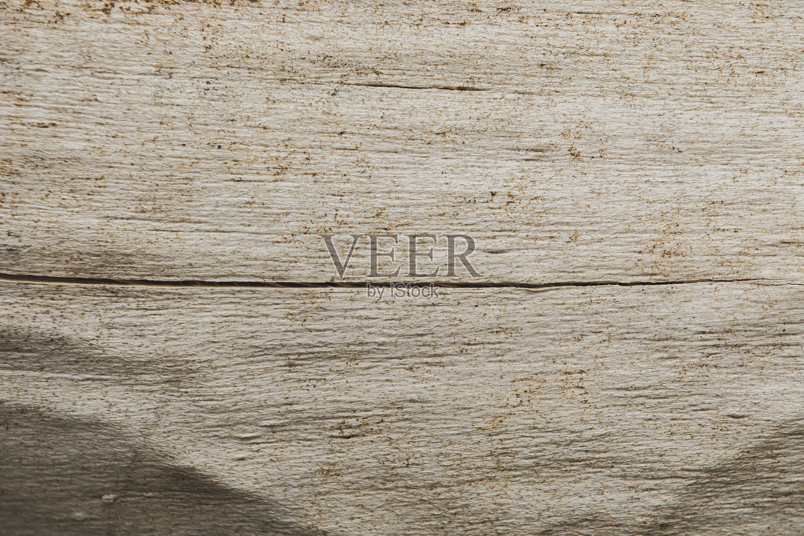 老树干的细致木纹。照片摄影图片