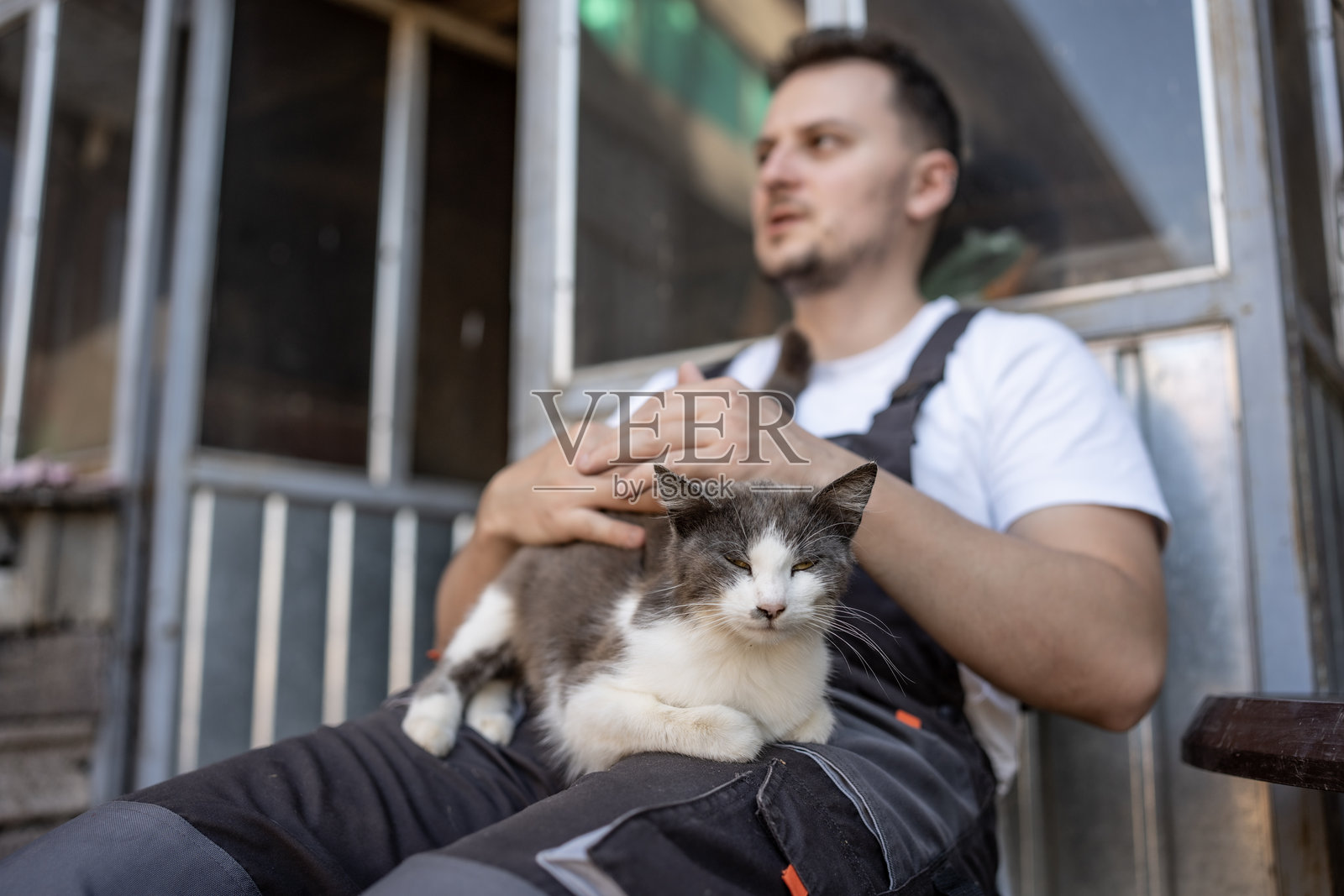 男人在户外放松，友好的猫咪坐在他的腿上照片摄影图片