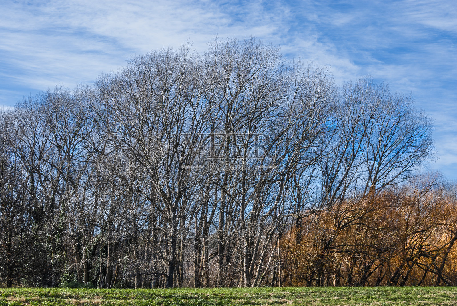 马尔德普拉塔，城市周围的道路、森林、泻湖和公园照片摄影图片