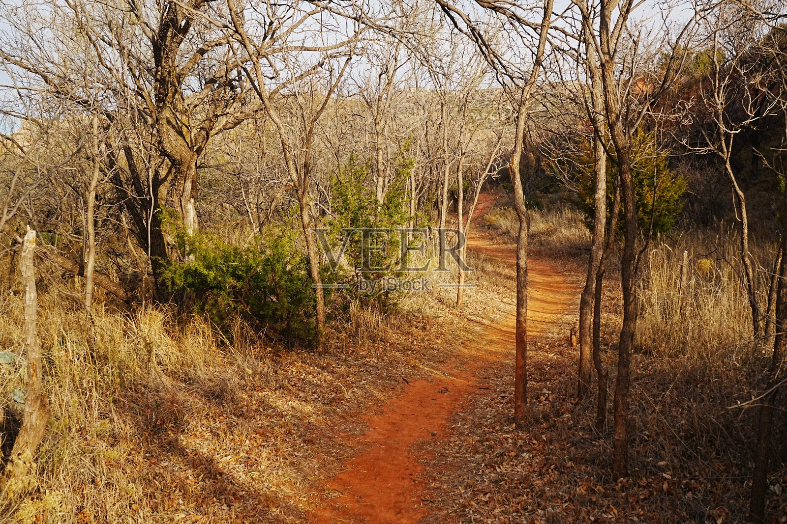 冬季的帕洛杜罗峡谷提供了绝佳的徒步旅行、骑行、露营和野生动物观赏机会。照片摄影图片