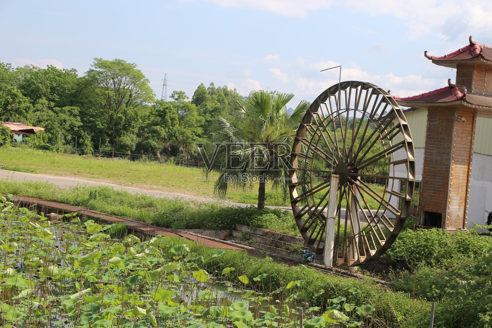 一座位于古老中国村庄边缘的水车，旁边有莲花池和椰子树，远景拍摄。照片摄影图片