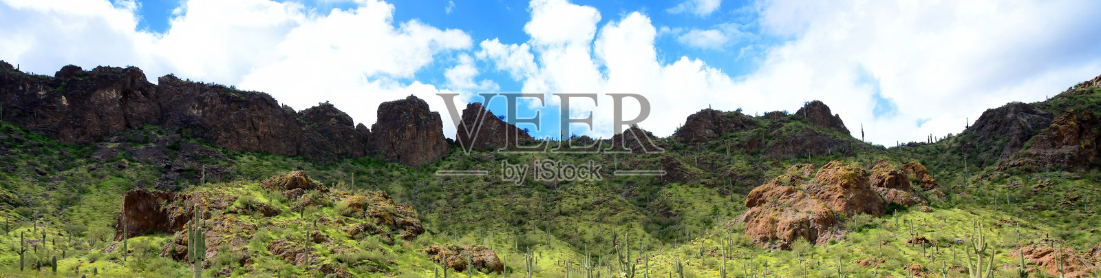 亚利桑那州索诺拉沙漠皮卡乔峰州立公园照片摄影图片