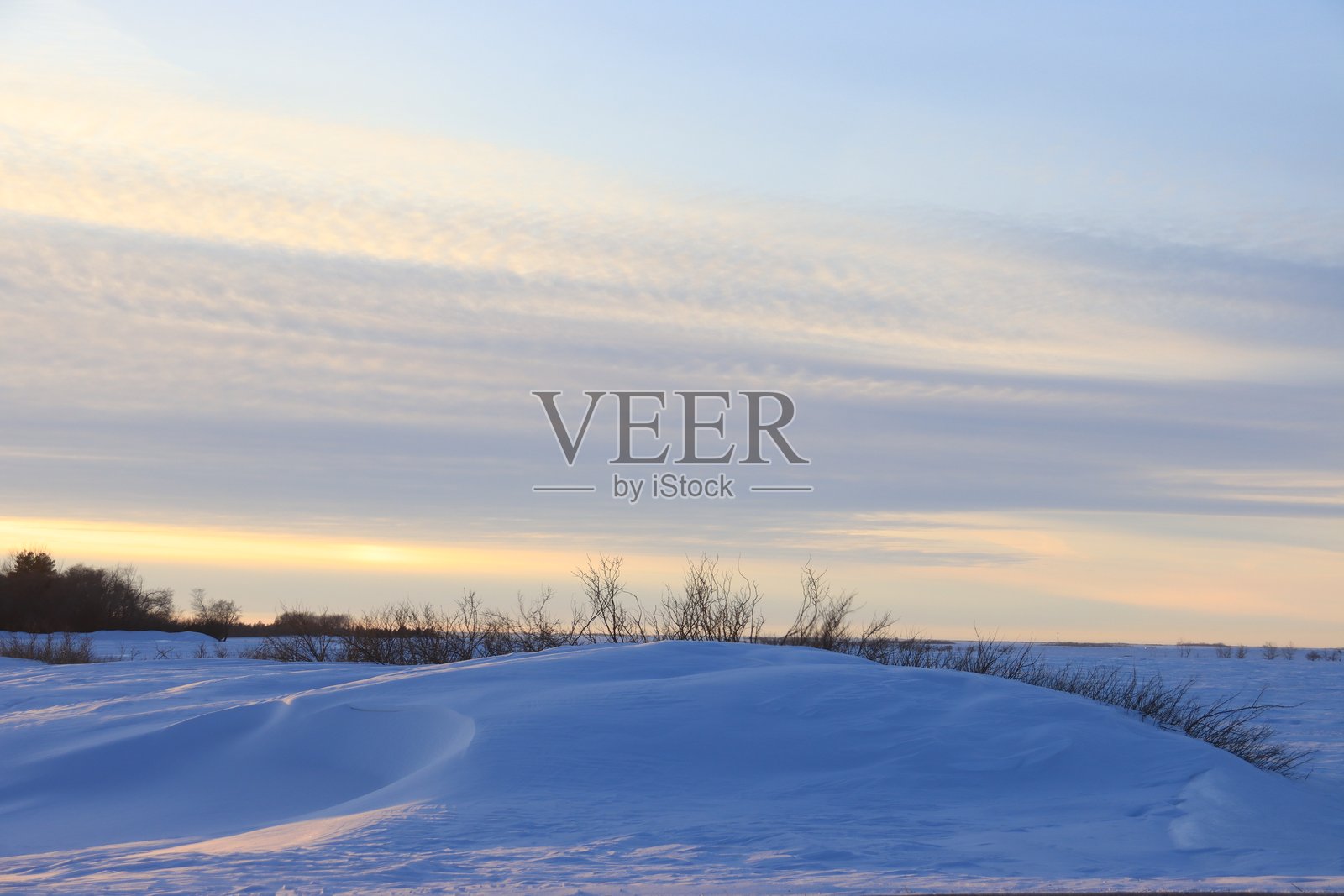 草原上的雪雕照片摄影图片