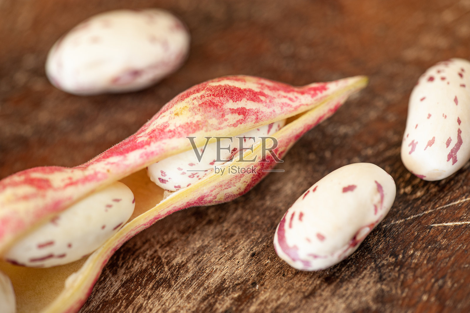 白豆照片摄影图片