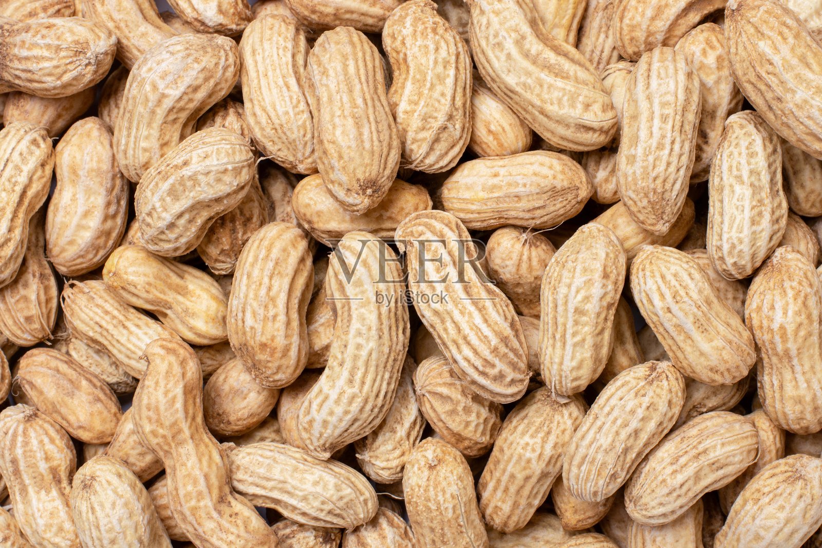 花生照片摄影图片