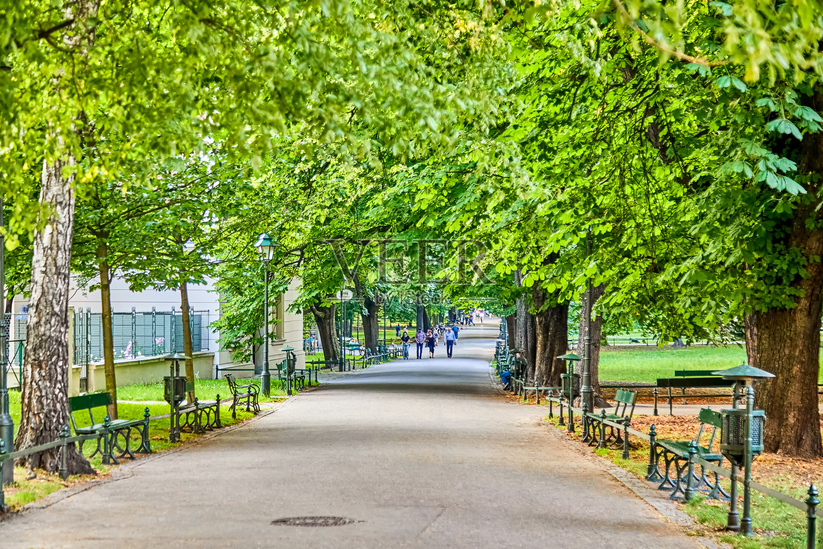 人们在波兰克拉科夫市中心的公园中，夏季沿着树木成荫的人行道散步。照片摄影图片